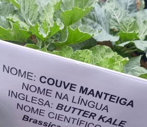 Projeto de escola estadual em C&aacute;ceres torna aprendizado em ingl&ecirc;s mais atrativo e aumenta engajamento dos alunos