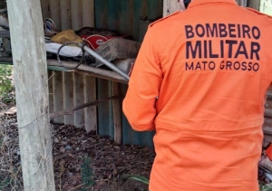 Bombeiros realizam resgates de animais silvestres em Confresa e Primavera do Leste