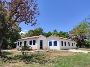 Museu de Hist&oacute;ria Natural de MT reabre ao p&uacute;blico nesta ter&ccedil;a-feira (20) com entrada gratuita