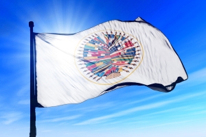 Bandeira da Organiza&ccedil;&atilde;o dos Estados Americanos