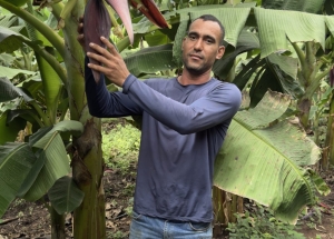Pequenos agricultores podem receber at&eacute; R$ 28 mil por a&ccedil;&otilde;es que preservem floresta amaz&ocirc;nica