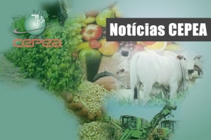 Est&atilde;o dispon&iacute;veis as agromensais de janeiro/2023