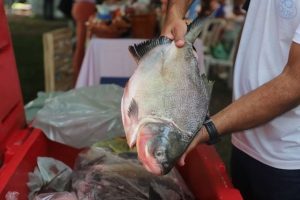 "VG Santo Peixe" leva 20 toneladas de pescado mais barato a seis pontos da cidade