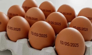 Agricultura suspende determina&ccedil;&atilde;o de carimbar data de validade em ovos
