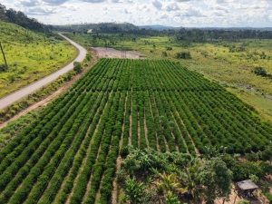 Governo publica edital de R$ 76,7 milh&otilde;es para fortalecer pequenos produtores em MT