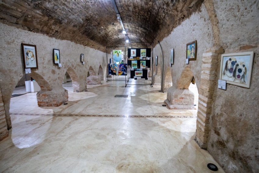 Aqu&aacute;rio e Museu da Caixa D&rsquo;&Aacute;gua Velha abrem nesta segunda-feira