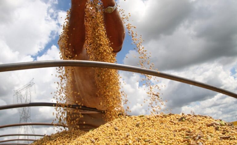  USDA reduz números de soja nos EUA e Brasil em ‘modo turbo’ na comercialização